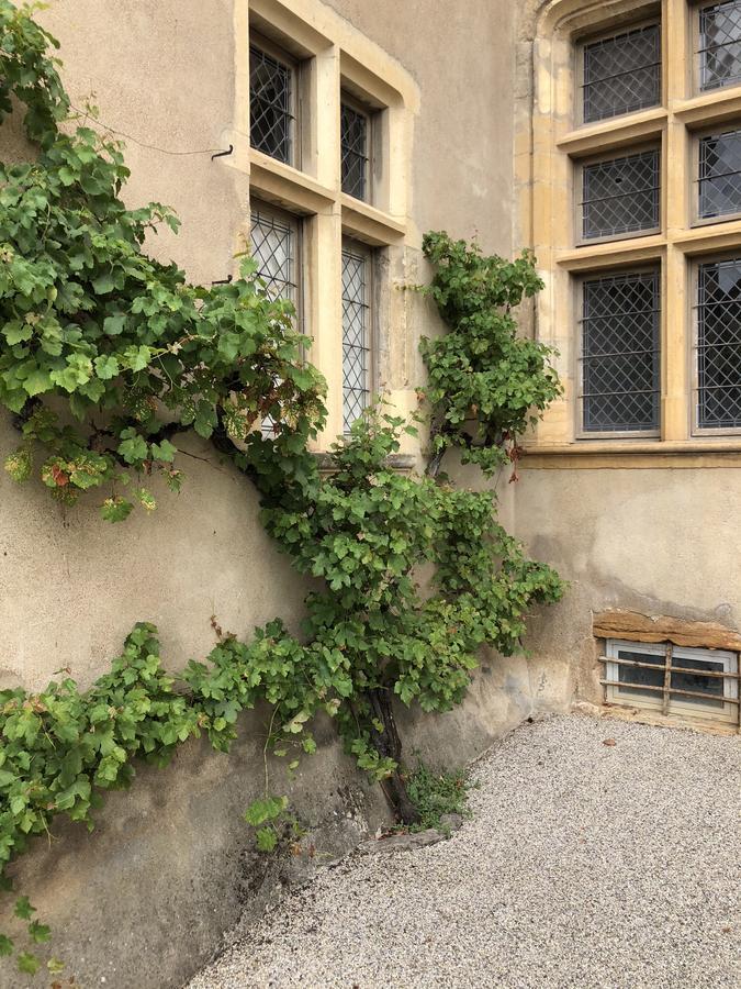 Maison Tandem Cluny Exterior foto